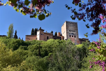 Alhambra rondleiding en Granada stadspas met alle ingangen